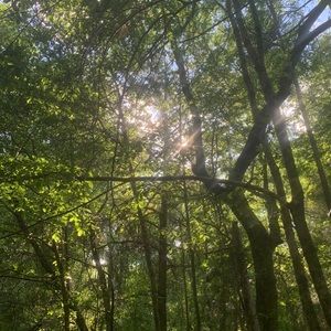 Meet your Posher, Cole